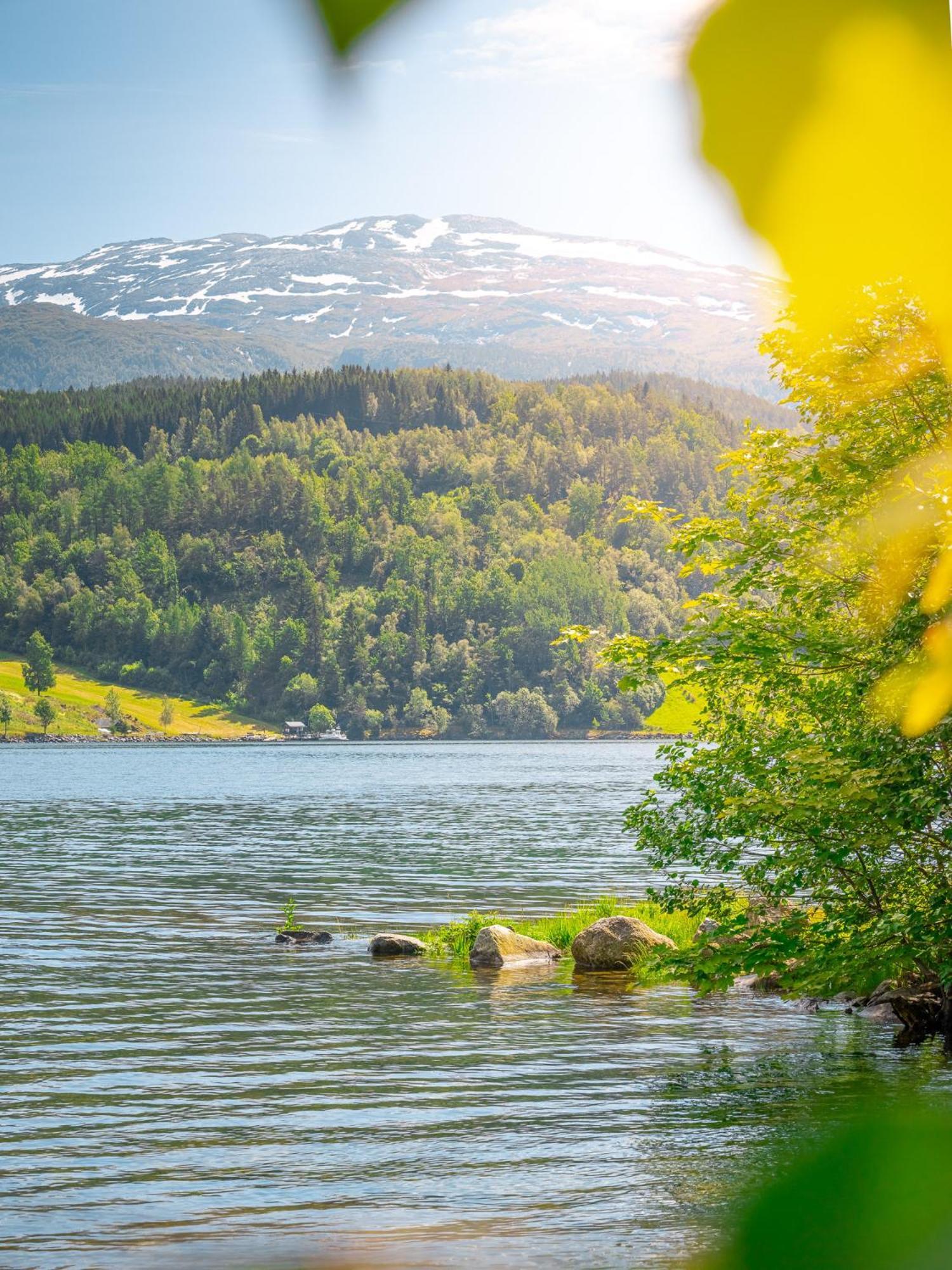 Ulvik Camping 外观 照片